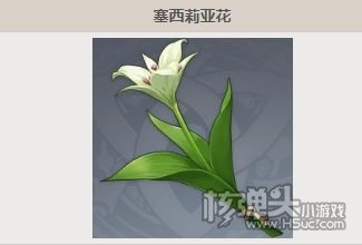 《原神》塞西莉亚花分布最佳采集路线攻略